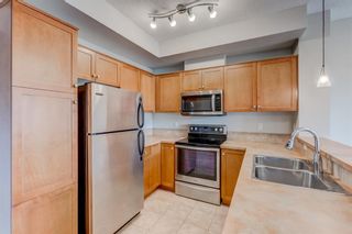 Photo 6: 406 208 Holy Cross Lane SW in Calgary: Mission Apartment for sale : MLS®# A1245608