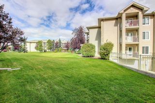 Photo 19: 2109 2600 66 Street NE in Calgary: Pineridge Apartment for sale : MLS®# A1142576