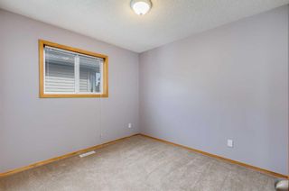 Photo 15: 1525 Big Springs Way SE: Airdrie Detached for sale : MLS®# A2127386