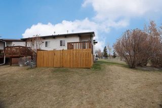 Photo 17: 241 Pinemont Road NE in Calgary: Pineridge Semi Detached (Half Duplex) for sale : MLS®# A2122804