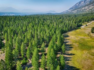 Photo 10: Lot D JUNIPER HEIGHTS ROAD in Invermere: Vacant Land for sale : MLS®# 2473016