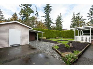 Photo 19: 1971 MAPLEWOOD Place in Abbotsford: Central Abbotsford House for sale : MLS®# R2412942
