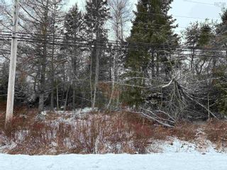Photo 5: Lot 10 Highway 376 in Durham: 108-Rural Pictou County Vacant Land for sale (Northern Region)  : MLS®# 202401893