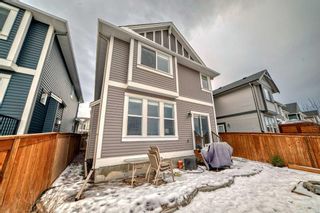Photo 41: 149 Williamstown Park NW: Airdrie Detached for sale : MLS®# A2119301