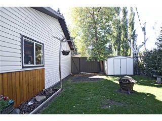 Photo 20: 67 LANGTON Drive SW in CALGARY: North Glenmore Residential Detached Single Family for sale (Calgary)  : MLS®# C3587070