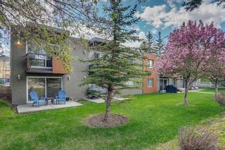 Photo 24: 106 4127 Bow Trail SW in Calgary: Rosscarrock Apartment for sale : MLS®# C4300518