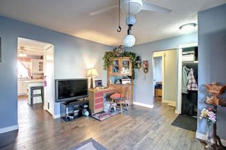 Photo 10: 3316 Doverthorn Road SE in Calgary: Dover Detached for sale : MLS®# A1233491