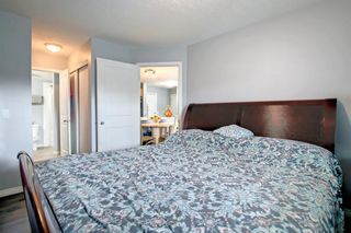 Photo 26: 124 8200 4 Street NE in Calgary: Beddington Heights Apartment for sale : MLS®# A2017788