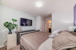 Photo 12: 182 Pantego Lane NW in Calgary: Panorama Hills Row/Townhouse for sale : MLS®# A2132487