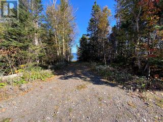 Photo 21: 9 Birchy Point in Campbellton: Vacant Land for sale : MLS®# 1267730
