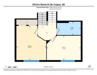 Photo 39: 255 Erin Woods Drive SE in Calgary: Erin Woods Detached for sale : MLS®# A1251085