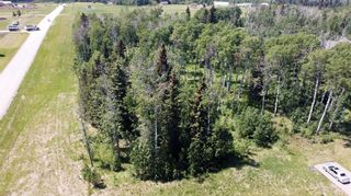 Photo 7: 162057 258 Street W: Rural Foothills County Residential Land for sale : MLS®# A2060550