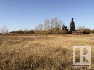 Photo 8: 6003 49 Street: Tofield Vacant Lot/Land for sale : MLS®# E4265967
