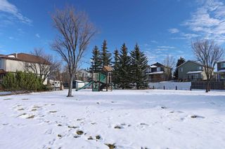Photo 43: 21 Thornleigh Way SE: Airdrie Detached for sale : MLS®# A2090830