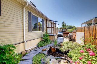 Photo 33: 192 Huntwell Road NE in Calgary: Huntington Hills Detached for sale : MLS®# A1240492