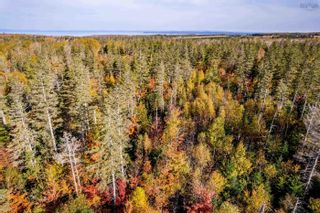 Photo 19: Lot Gospel Road in Glenmont: Kings County Vacant Land for sale (Annapolis Valley)  : MLS®# 202224176