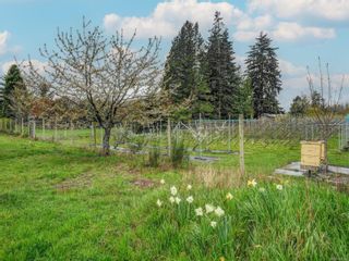 Photo 22: 6466 Oldfield Rd in Central Saanich: CS Saanichton House for sale : MLS®# 960828