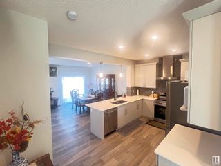 Photo 11: 9830 225A Street in Edmonton: Zone 58 House for sale : MLS®# E4382445