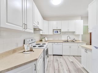 Photo 13: 1004 71 Roslyn Road in Winnipeg: Osborne Village Condominium for sale (1B)  : MLS®# 202330549