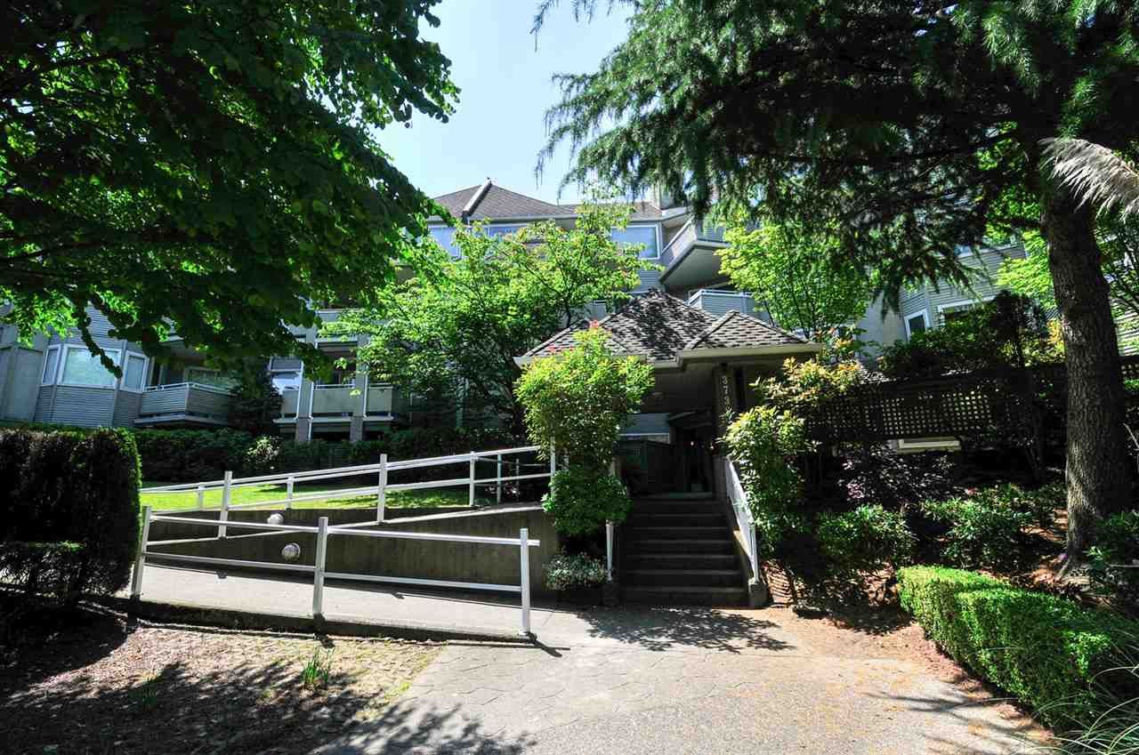 Main Photo: 111 3738 NORFOLK Street in Burnaby: Central BN Condo for sale in "THE WINCHELSEA" (Burnaby North)  : MLS®# R2074428