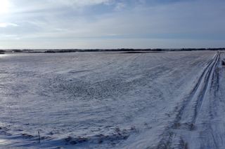 Photo 15: SE 34-45-19-W4: Rural Camrose County Residential Land for sale : MLS®# A2013938
