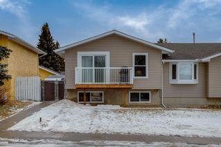 Main Photo: 195 Acacia Drive SE: Airdrie Semi Detached for sale : MLS®# A1173793