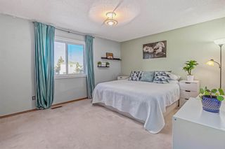 Photo 20: 52 Applewood Court SE in Calgary: Applewood Park Detached for sale : MLS®# A2018208