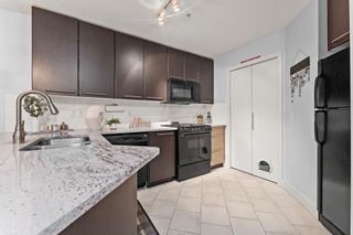 Photo 8: 124 35 Richard Court SW in Calgary: Lincoln Park Apartment for sale : MLS®# A2050442