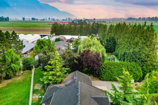 Photo 37: 3387 TOLMIE Road in Abbotsford: Sumas Prairie House for sale : MLS®# R2858932