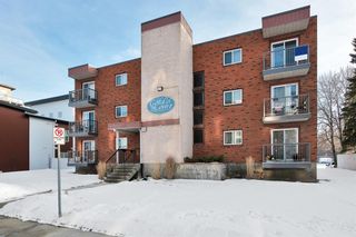 Photo 2: 304 4415 48 Avenue: Red Deer Apartment for sale : MLS®# A2018781