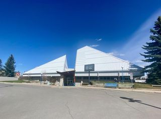 Photo 44: 10808 Maplecreek Drive SE in Calgary: Maple Ridge Detached for sale : MLS®# A1102150