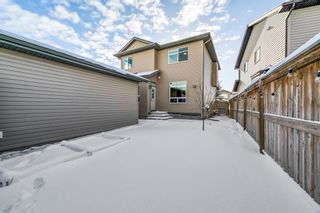 Photo 28: 14 Walden Court SE in Calgary: Walden Detached for sale : MLS®# A2022667