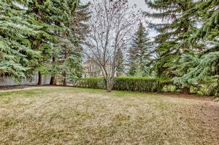 Photo 32: 51 Scenic Park Crescent NW in Calgary: Scenic Acres Detached for sale : MLS®# A2048806