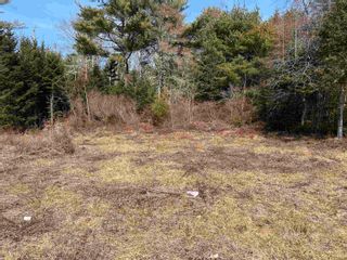 Photo 5: 5720 Highway 3 in East Jordan: 407-Shelburne County Vacant Land for sale (South Shore)  : MLS®# 202404710