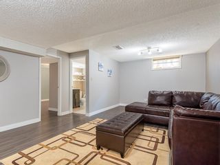 Photo 18: 71 Whitefield Close NE in Calgary: Whitehorn Detached for sale : MLS®# A1020344