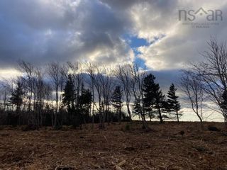 Photo 6: Lot 6 Shore Road in Ponds: 108-Rural Pictou County Vacant Land for sale (Northern Region)  : MLS®# 202227520