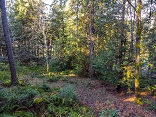 Photo 14: 3203 Clam Bay Rd in Pender Island: GI Pender Island Land for sale (Gulf Islands)  : MLS®# 896407