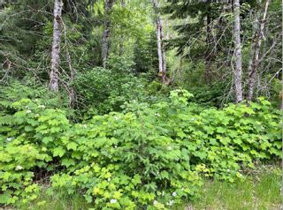 Photo 6: DL 6 cls in Williams Lake: Other Boards Land for sale : MLS®# 915325