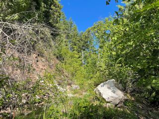 Photo 20: 46 Old Town Road, in Sicamous: Vacant Land for sale : MLS®# 10256751