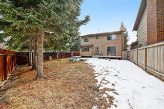 Photo 19: 4 Coach Side Place SW in Calgary: Coach Hill Detached for sale : MLS®# A1194114