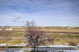 Photo 14: 80 SILVERADO  SKIES Manor SW in Calgary: Silverado Detached for sale : MLS®# A2009951
