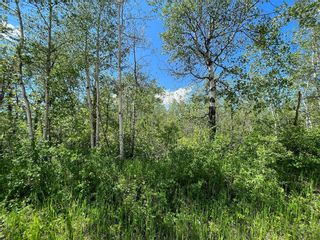 Photo 5: 1 40E Road in Ste Anne Rm: Vacant Land for sale : MLS®# 202304748