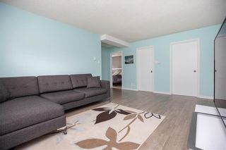 Photo 18: 507 Greenacre Boulevard in Winnipeg: Residential for sale (5G)  : MLS®# 202014363