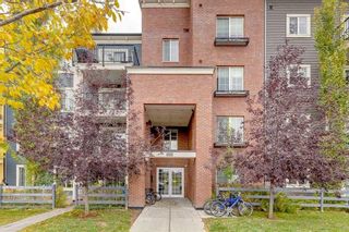 Photo 1: 5111 755 Copperpond Boulevard SE in Calgary: Copperfield Apartment for sale : MLS®# A2102261