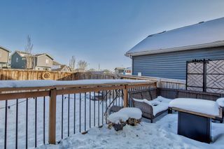 Photo 26: 243 New Brighton Landing SE in Calgary: New Brighton Detached for sale : MLS®# A2031957