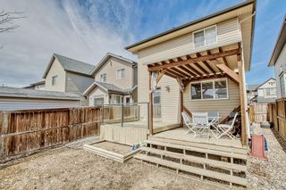 Photo 45: 86 Walden Manor SE in Calgary: Walden Detached for sale : MLS®# A2039078