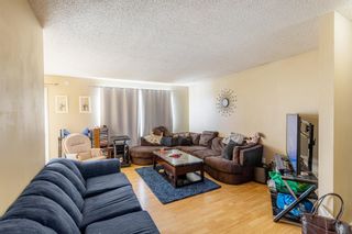 Photo 4: 3323 Doverview Road SE in Calgary: Dover Detached for sale : MLS®# A2032584