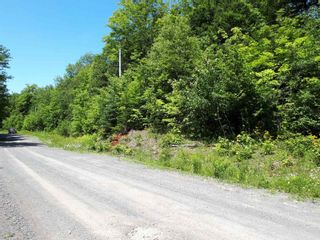 Photo 16: Meiklefield Road in Meiklefield: 108-Rural Pictou County Vacant Land for sale (Northern Region)  : MLS®# 202117504