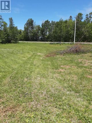 Photo 4: 453 Dover Road in Murray River: Vacant Land for sale : MLS®# 202317987