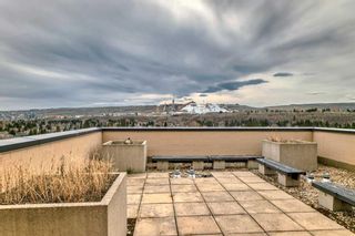 Photo 31: 913 8604 48 Avenue NW in Calgary: Bowness Apartment for sale : MLS®# A2126675